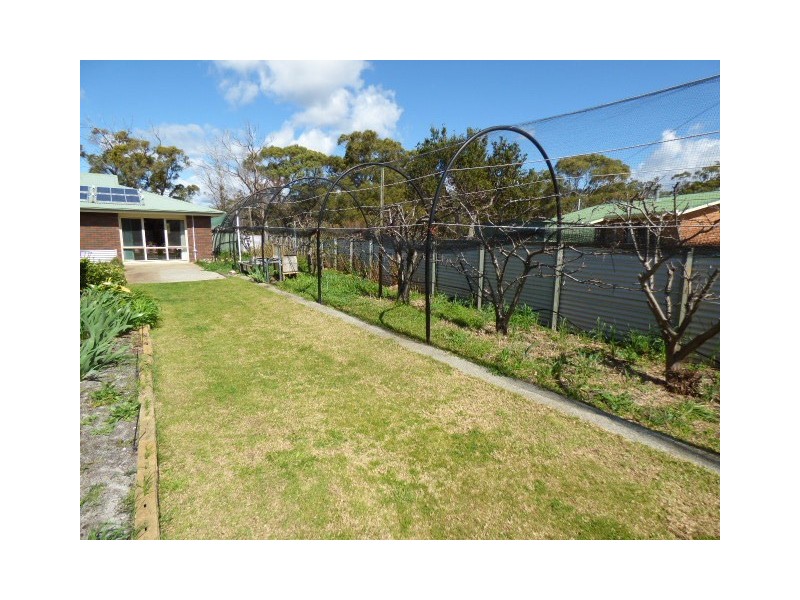8 Blackwood Court, Ansons Bay TAS 7216