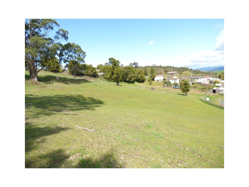 Lots 1 and 2 Pearce Street, Branxholm TAS 7261