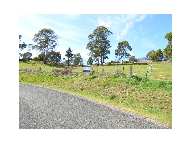 Lots 1 and 2 Pearce Street, Branxholm TAS 7261