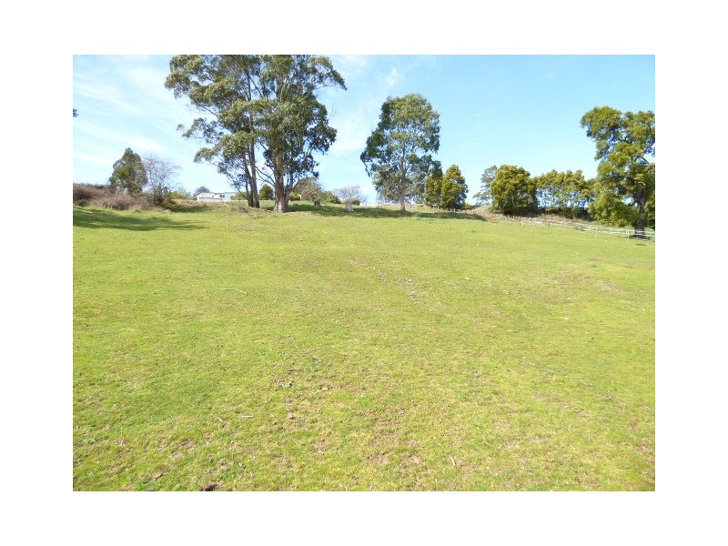 Lots 1 and 2 Pearce Street, Branxholm TAS 7261