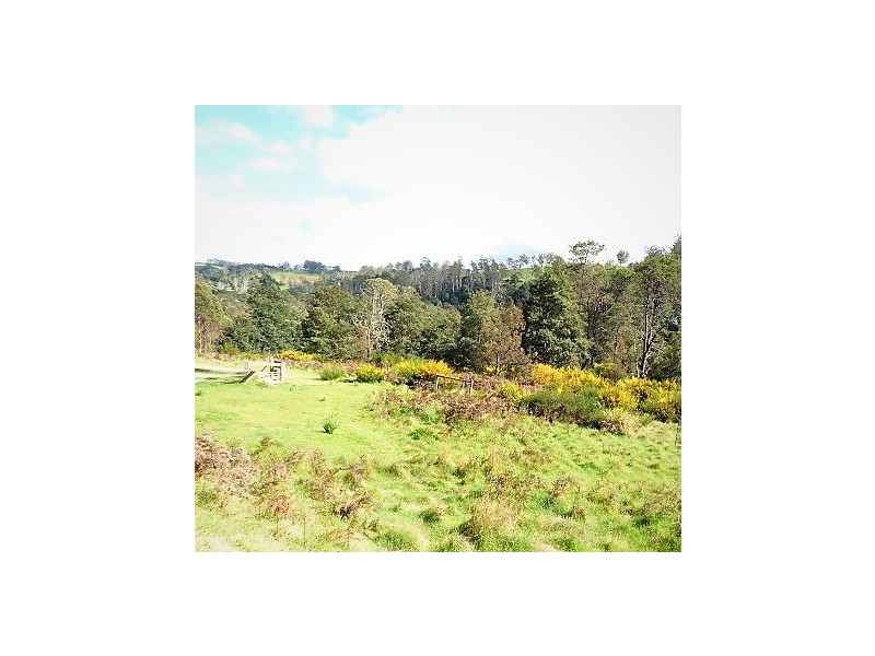 14 Renison Street, Derby TAS 7264