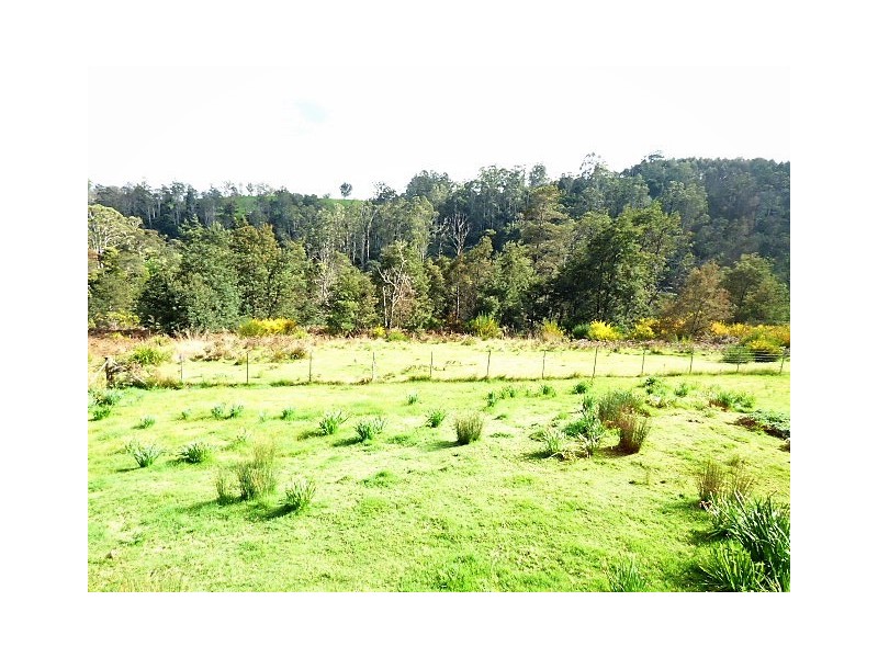 14 Renison Street, Derby TAS 7264