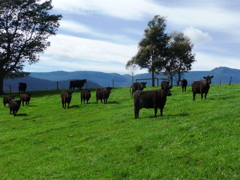 53 Hamptons Road, Meander TAS 7304