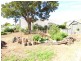 9 Ellenor Street, Scottsdale TAS 7260