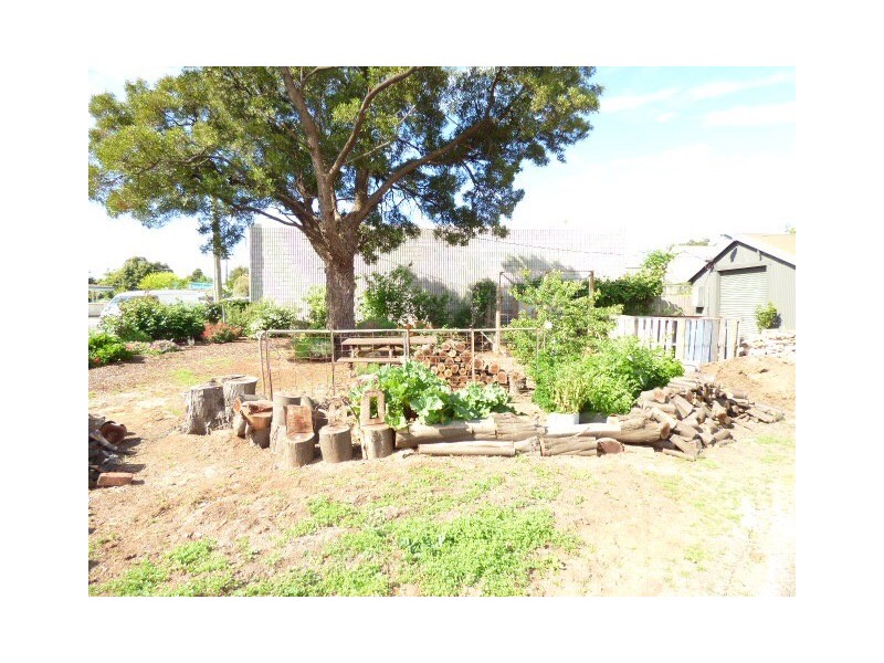 9 Ellenor Street, Scottsdale TAS 7260