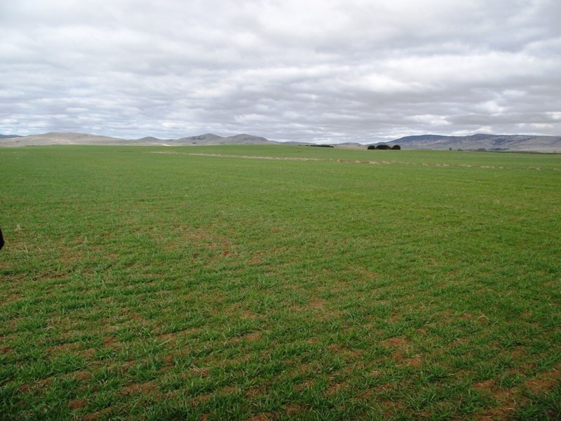 . Windsor Street, Tunbridge TAS 7120