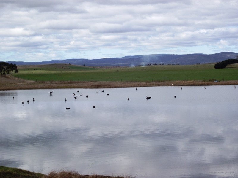 . Windsor Street, Tunbridge TAS 7120