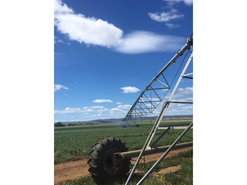 . Windsor Street, Tunbridge TAS 7120