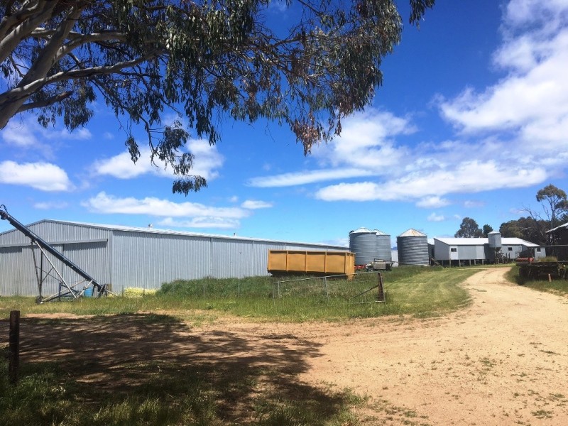 13790 and 13846 Midland Highway “Fairfield” and “The Bend”, Epping Forest TAS 7211