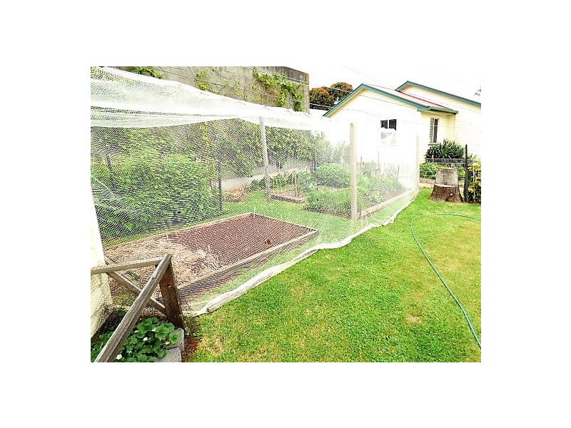 29 Mary Street, Scottsdale TAS 7260