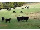29371 Tasman Highway, Weldborough TAS 7264