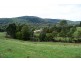 29371 Tasman Highway, Weldborough TAS 7264