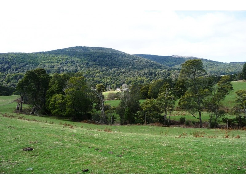 29371 Tasman Highway, Weldborough TAS 7264