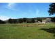 29371 Tasman Highway, Weldborough TAS 7264