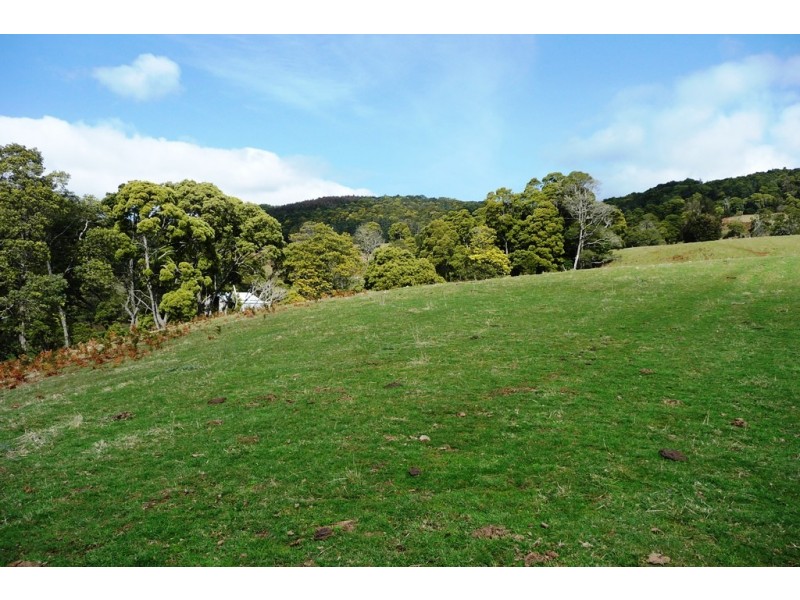 29371 Tasman Highway, Weldborough TAS 7264