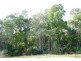 29371 Tasman Highway, Weldborough TAS 7264