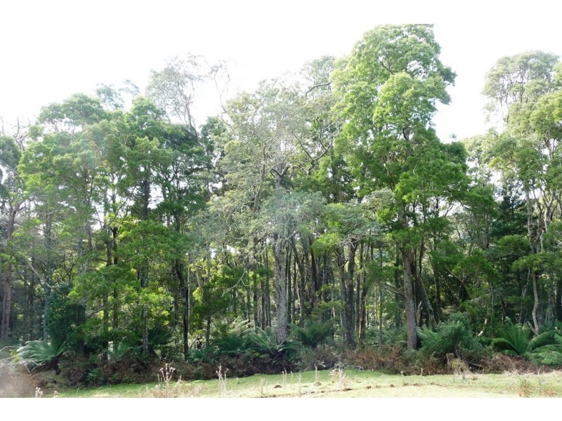 29371 Tasman Highway, Weldborough TAS 7264