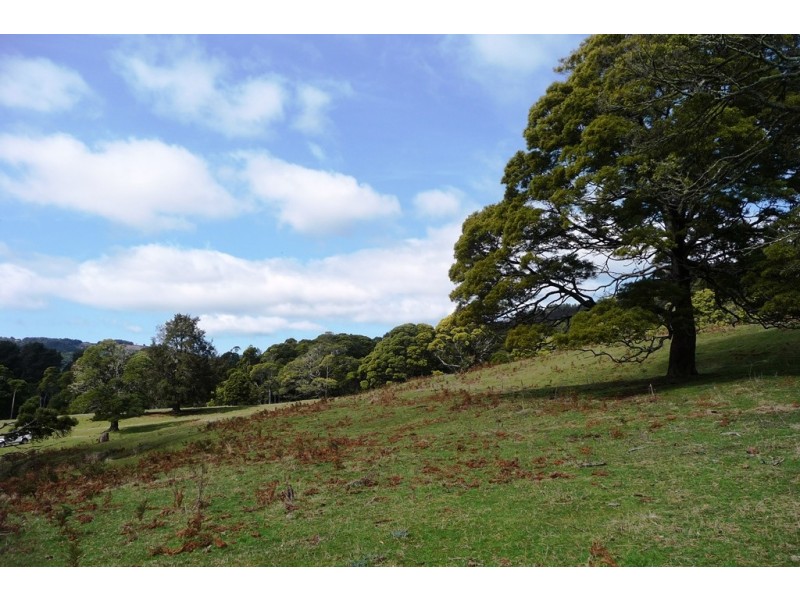 29371 Tasman Highway, Weldborough TAS 7264