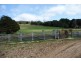 29371 Tasman Highway, Weldborough TAS 7264