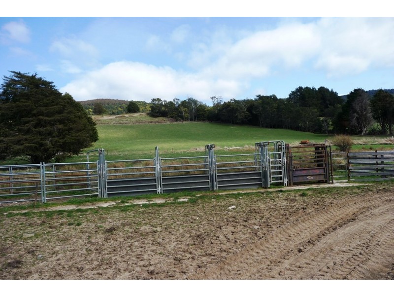 29371 Tasman Highway, Weldborough TAS 7264