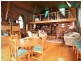 38 Winnaleah Road, Winnaleah TAS 7265