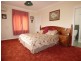 38 Winnaleah Road, Winnaleah TAS 7265
