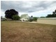 38 Winnaleah Road, Winnaleah TAS 7265