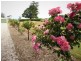38 Winnaleah Road, Winnaleah TAS 7265