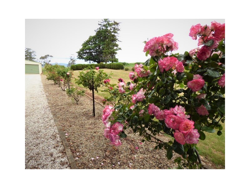 38 Winnaleah Road, Winnaleah TAS 7265