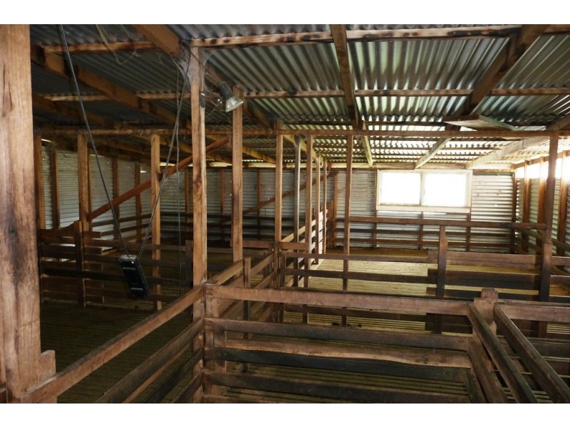 1341 Deddington Road, Deddington TAS 7212