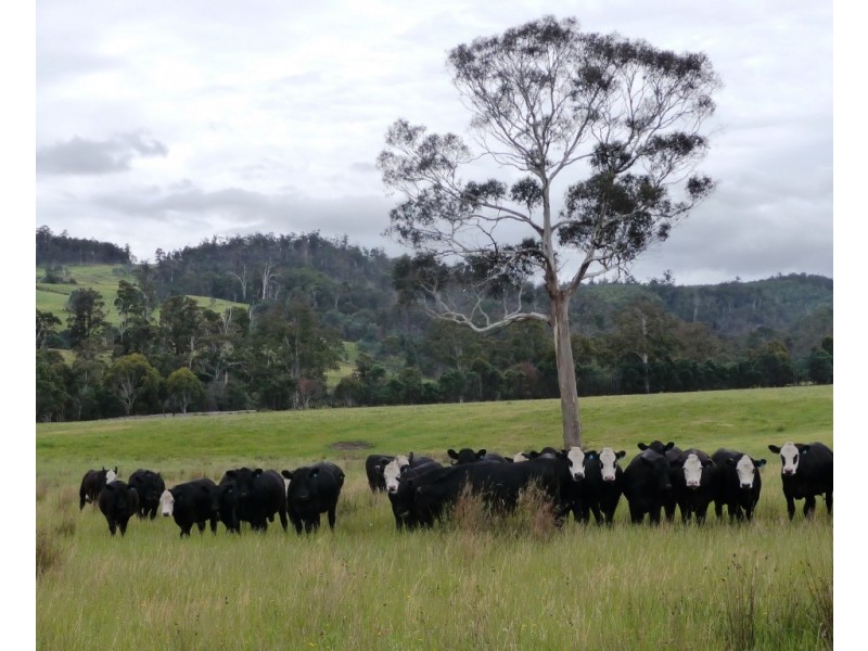 137494/2 Deddington Road, Deddington TAS 7212