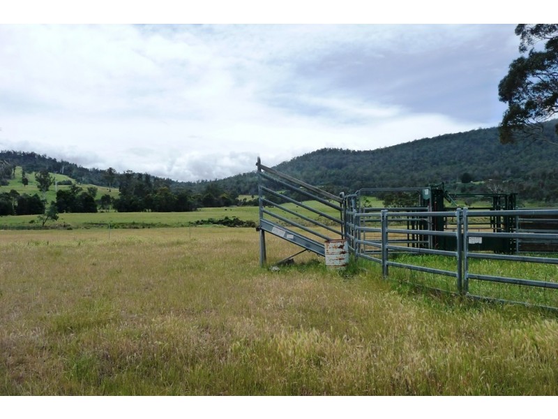 137494/2 Deddington Road, Deddington TAS 7212