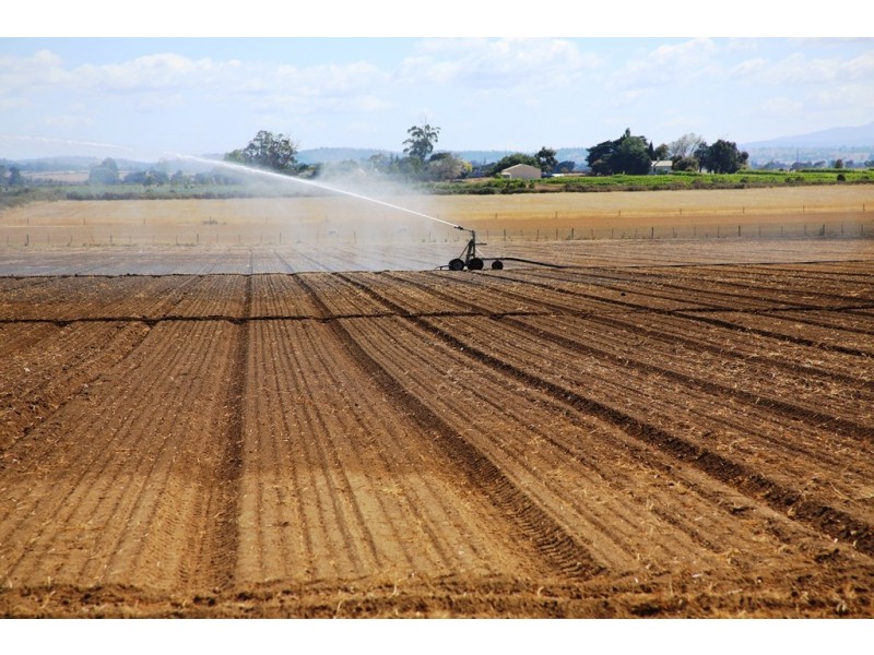 94 Green Rises Road, Cressy TAS 7302