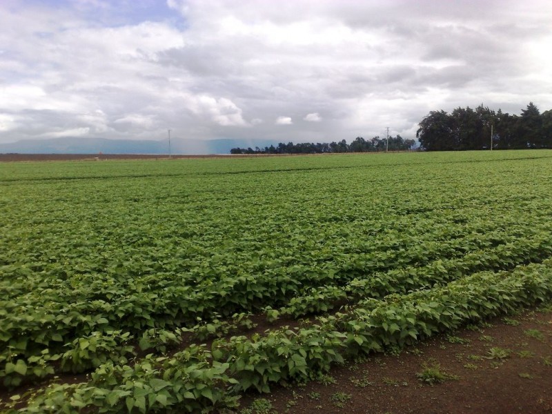 94 Green Rises Road, Cressy TAS 7302