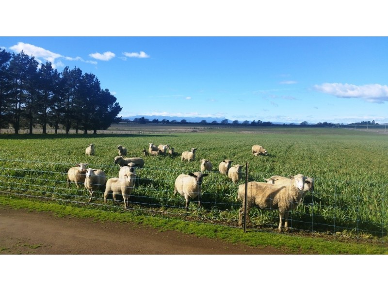 94 Green Rises Road, Cressy TAS 7302