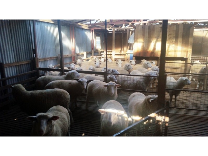 94 Green Rises Road, Cressy TAS 7302