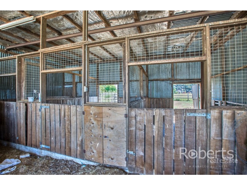 94 Green Rises Road, Cressy TAS 7302