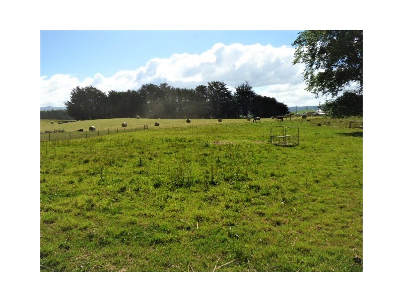 36 East Maurice Road, Ringarooma TAS 7263