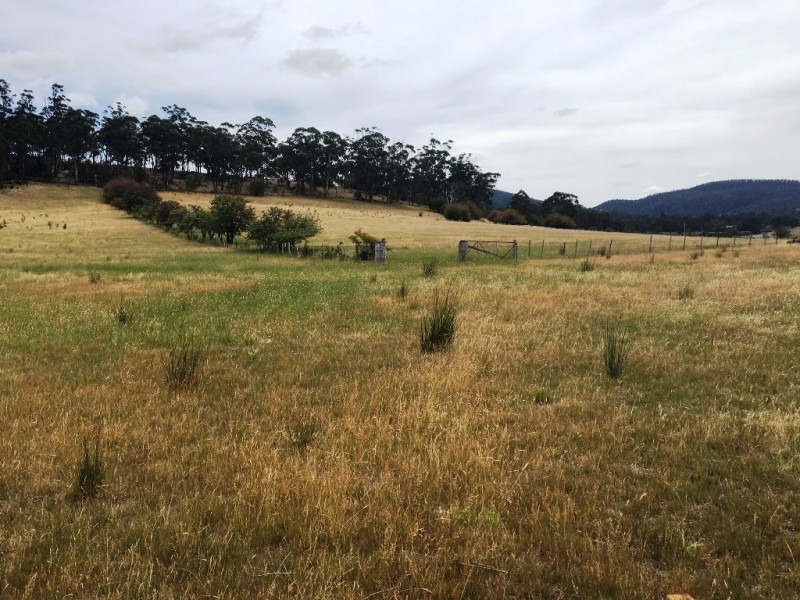 3308 Tasman Highway, Orielton TAS 7172