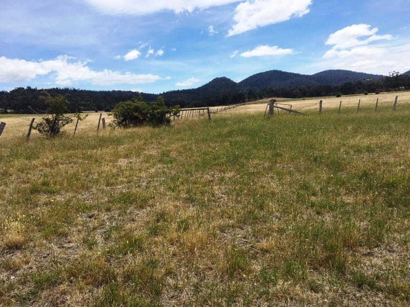 3308 Tasman Highway, Orielton TAS 7172