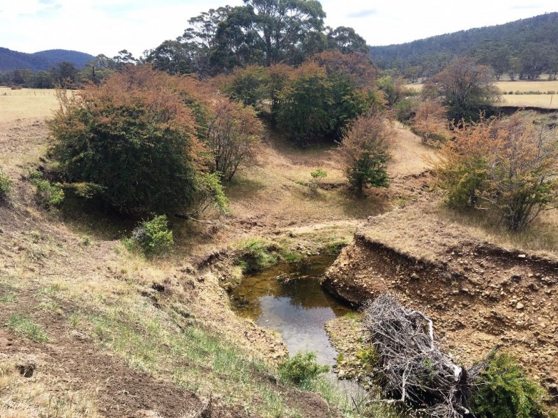 3308 Tasman Highway, Orielton TAS 7172