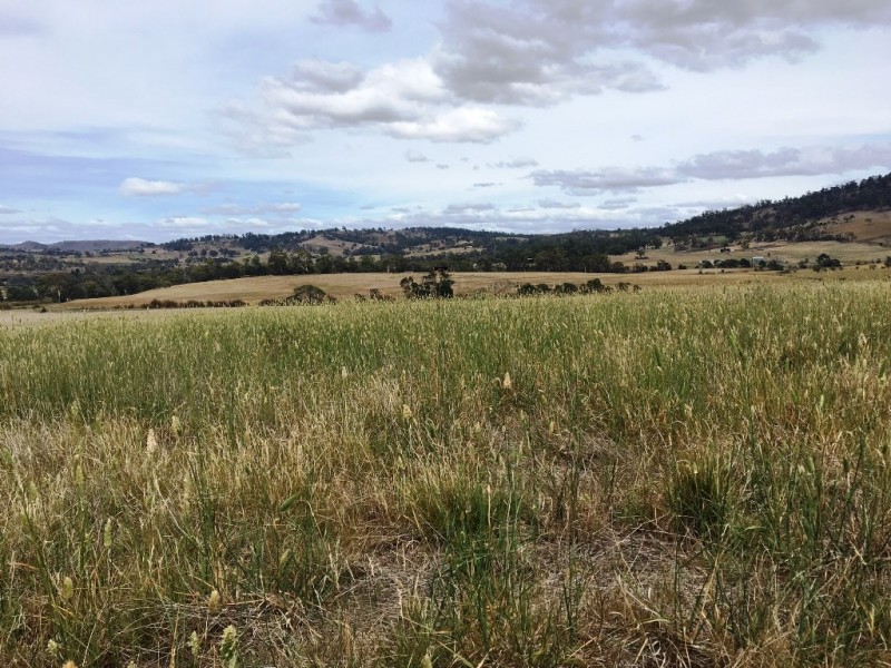 3308 Tasman Highway, Orielton TAS 7172