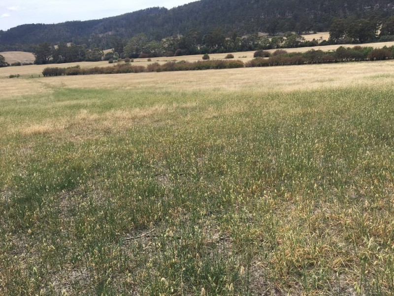 3308 Tasman Highway, Orielton TAS 7172