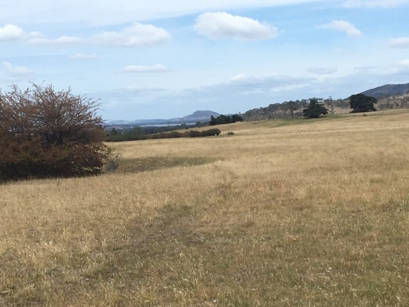 3308 Tasman Highway, Orielton TAS 7172