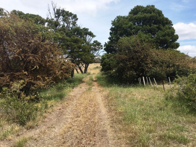 3308 Tasman Highway, Orielton TAS 7172