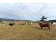 173 Rhyndaston Road, Colebrook TAS 7027