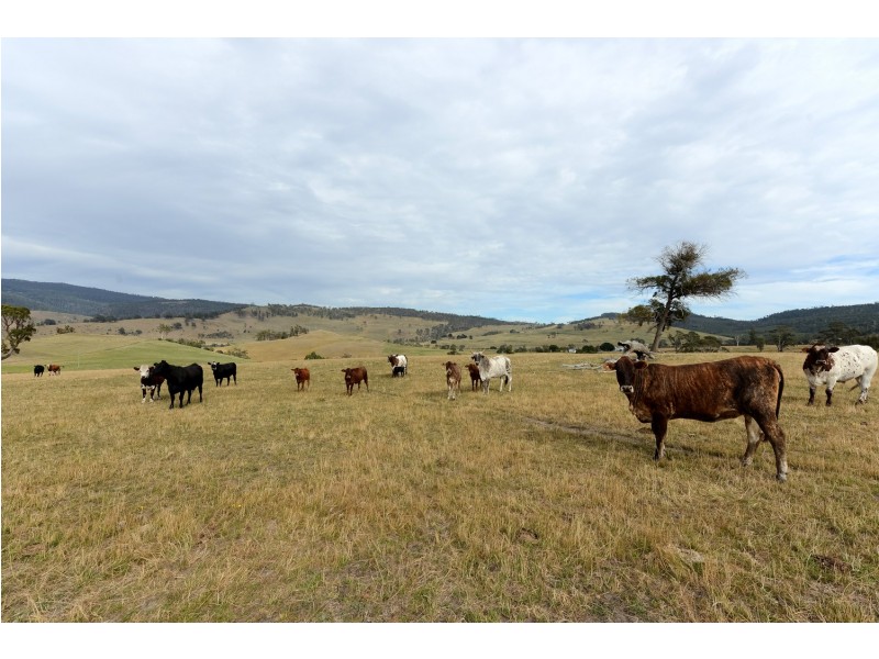 173 Rhyndaston Road, Colebrook TAS 7027