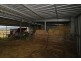 173 Rhyndaston Road, Colebrook TAS 7027