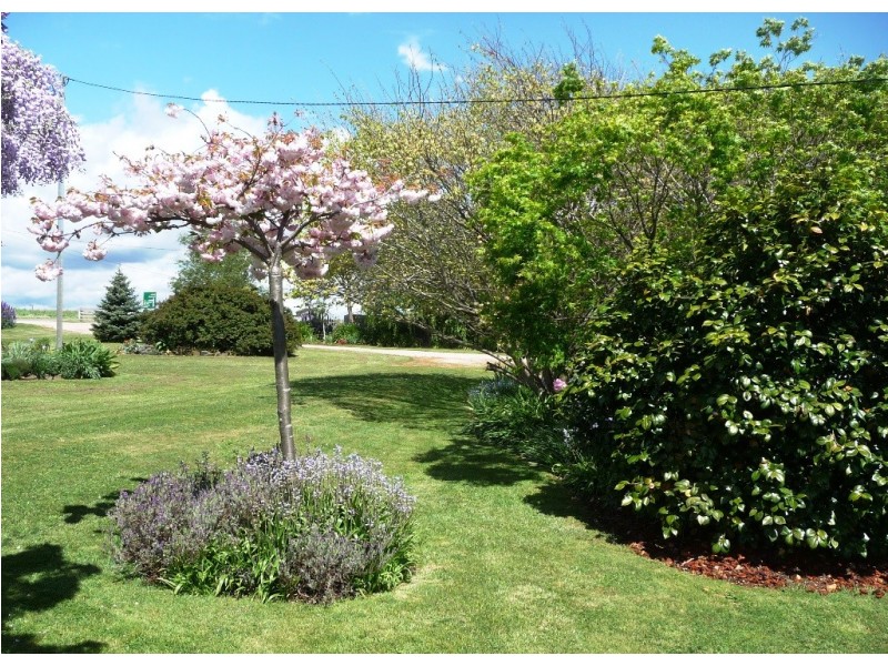 4597 Frankford Road, Harford TAS 7307