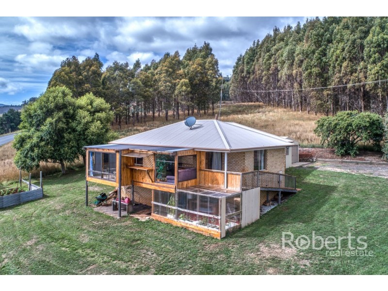 364 Mathinna Plains Road, Ringarooma TAS 7263